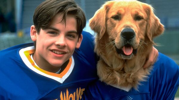 أجمل أفلام  عن الكلاب في يوم الكلاب العالمي 