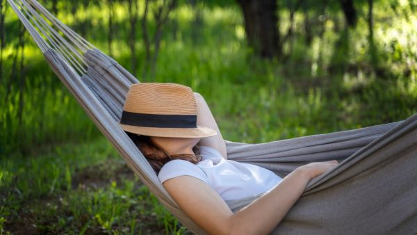 Shutterstock nap