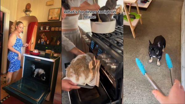 Cooking pets
