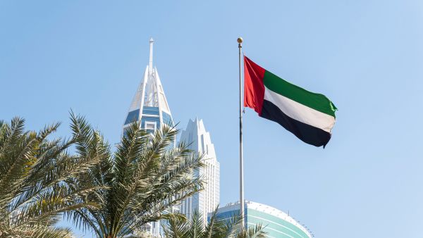 UAE flag
