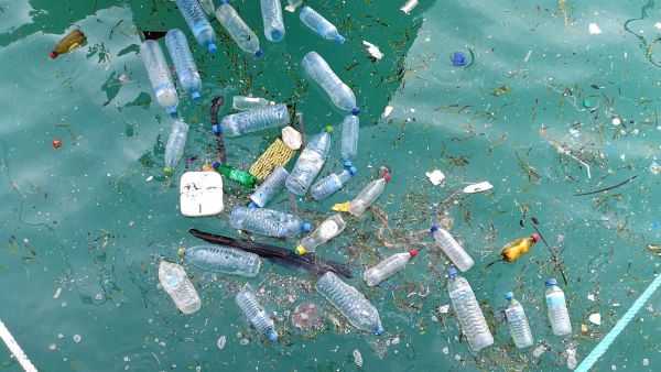 A commentary by researchers at WCM-Q has called for urgent action to address the negative impact of mass consumption of plastic bottled water on public health. WCM-Q highlights alarming impact of plastic bottled water on human and planetary health
