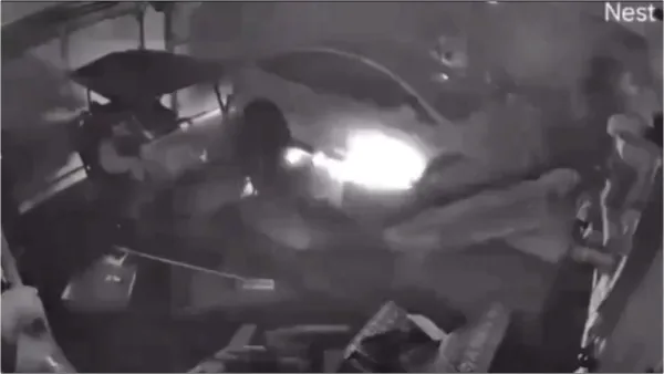 Hurricane helen causes Tesla fire, leaving Florida family homeless