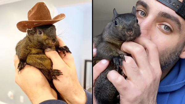 Peanut the Squirrel