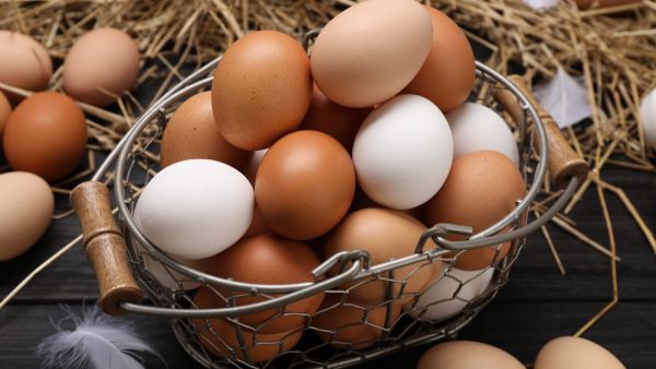 eggs 