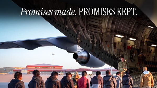 White house launches largest deportation campaign using military aircraft