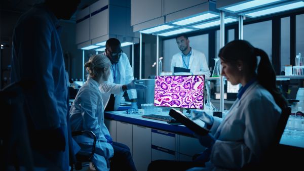 IT Medical Lifestyle Cut Medical Lab LG to Showcase Its Cutting-Edge Medical Display Solutions at Arab Health 2025