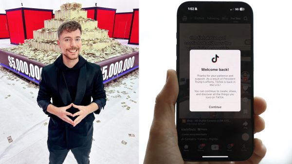 MrBeast TikTok