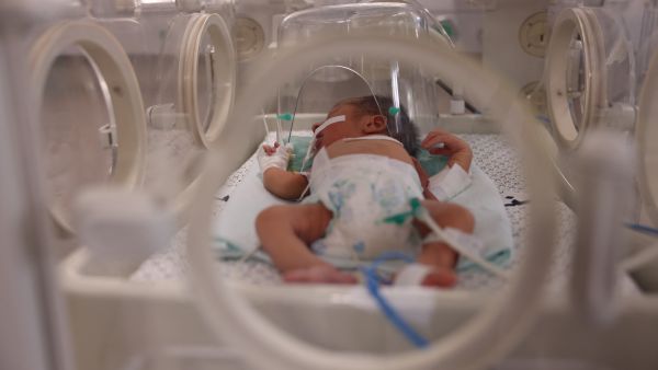 newborn babies