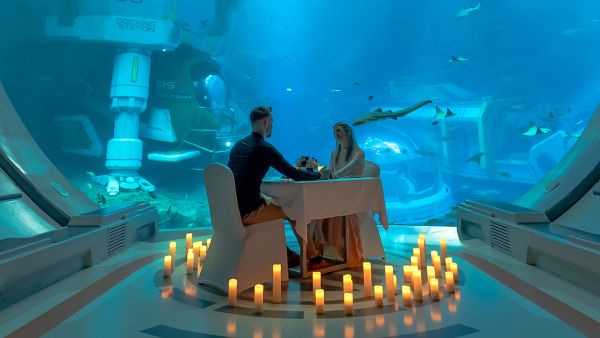 Valentine's Day at SeaWorld Abu Dhabi 2 Dine With a Mesmerizing View this Valentine’s Day at SeaWorld® Yas Island, Abu Dhabi