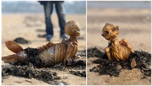 Strange object appears on UK shores. (Paula Regan) Freaky figure