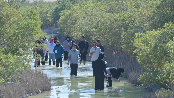 WCM-Q students explore biodiversity at Purple Island