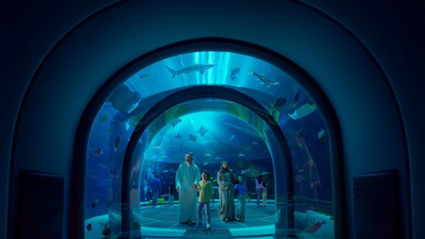 SeaWorld® Yas Island, Abu Dhabi and the Yas SeaWorld Research & Rescue Center Awarded Prestigious AMMPA Accreditation