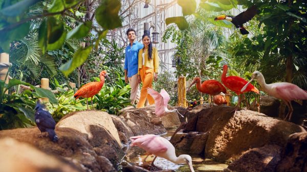 SeaWorld Yas Island, Abu Dhabi Announces New SeaBloom Celebration with Exclusive In-Park Experiences