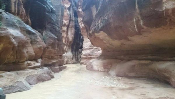 البترا