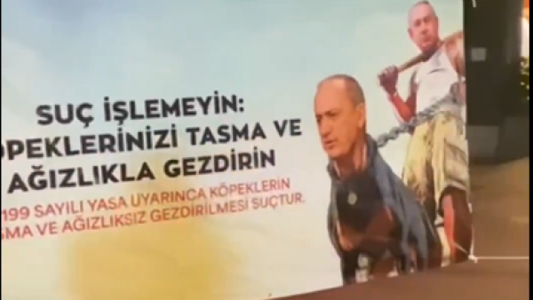 "We know where you live": Turkish journalist threatened with his image on dog's body