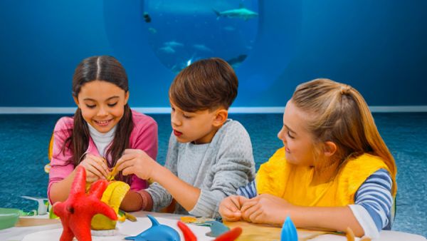 Introducing Yas Island Summer Camp: One Camp - 5 Unique Experiences, Where Learning Meets Adventure