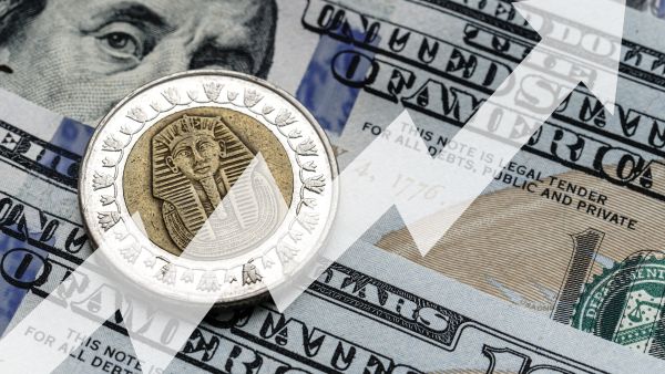 صندوق النقد والحكومة المصرية