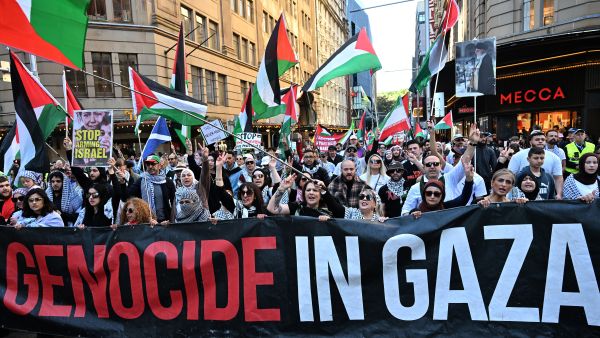 Top genocide scholars declare Israeli actions in Gaza meet legal definition of Genocide
