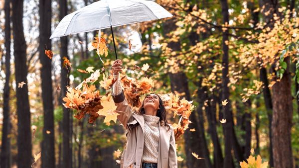 شعر عن شهر نوفمبر شعر عن شهر نوفمبر