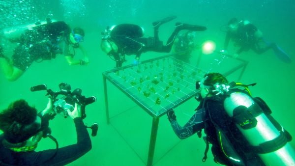 Canon’s World Unseen 2.0 Dives Deeper with Project REEFrame to Protect UAE’s Coral Reefs