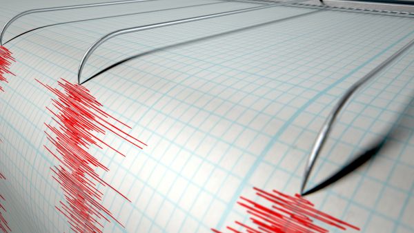 Illustrative image showing seismic activity measurement lines, symbolizing earthquake magnitude — sourced from Shutterstock