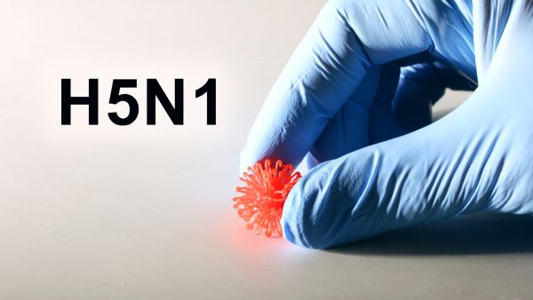 فيروس إنفلونزا A المنتشر حالياً: تعرف على أسرع طرق العلاج والوقاية