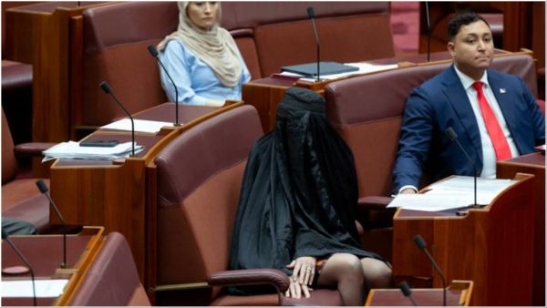 Pauline Hanson wears burqa in senate