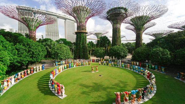 The Most Unusual DHL Deliveries 2025 –  A Special Year-End Review of the Global Market Leader in Logistics