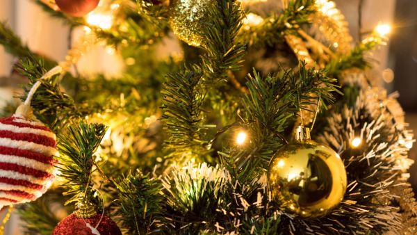 10 معلومات عن أصل شجرة الكريسماس