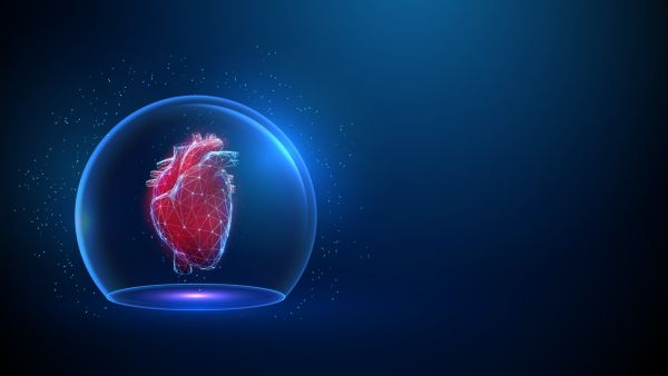 كيف تحافظ على قلبك صحيًا: أهم النصائح