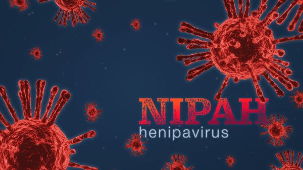 Nipah virus