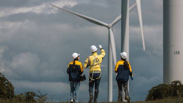 16.6 مليون وظيفة فقط عالمياً رغم توسع الطاقة النظيفة