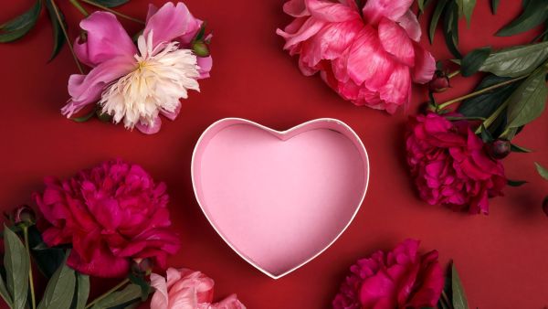 أبرز اقتباسات الحب في الشعر العربي