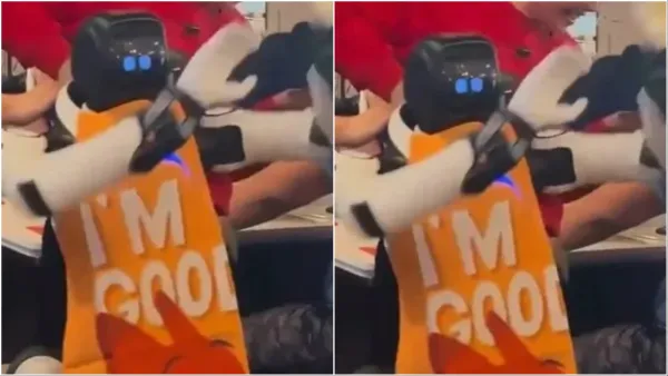 Robot