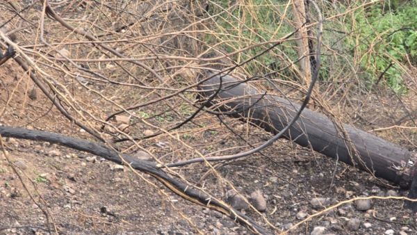 سقوط شظايا في شمال المملكة