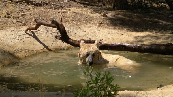 محمية المأوى للطبيعة والحياة البرية – تجربة فريدة في قلب جرش