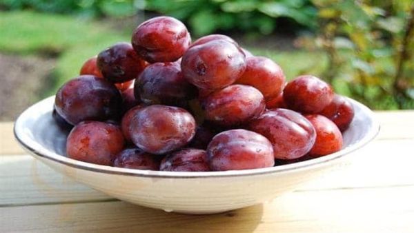 أكل البرقوق في المنام