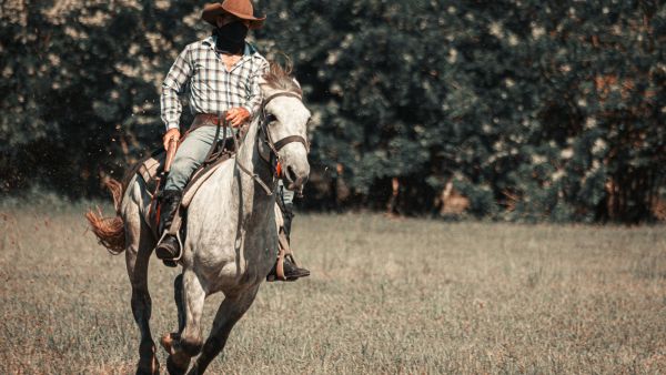 تفسير حلم ركوب الخيل والجري به للرجل