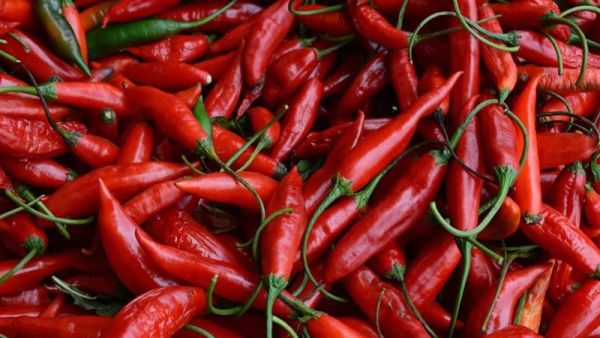 رؤية الفلفل الحار في المنام للعزباء والمتزوجه