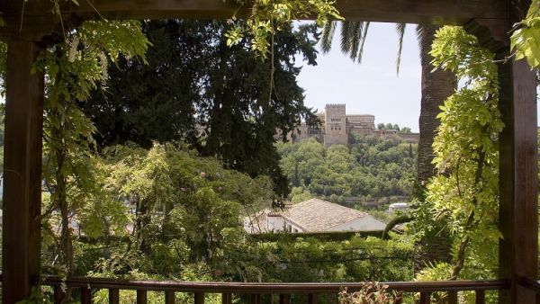 مؤسسة قطر وجامعة غرناطة تفتحان باب التقديم لجائزة رضوى عاشور للأدب العربي