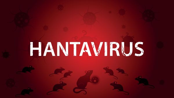 Hantavirus disease