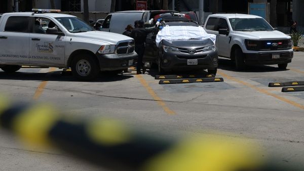 mexico  -  crime  -  wc  -  2026