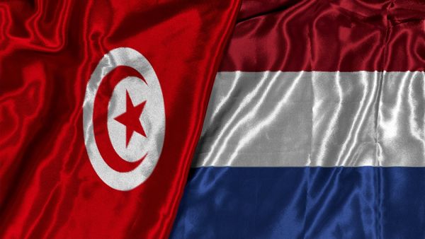 معلق مباراة تونس وهولندا اليوم في كأس العالم 2026