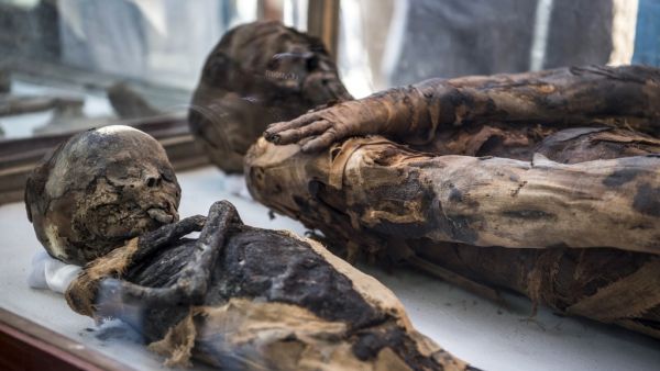 Mummies on display outside a newly-discovered tomb dating to the Ptolemaic era (323-30 BC) at the Diabat necropolis near the city of Akhmim in Egypt's southern Sohag province, about 500 kilometres south of the capital Cairo. 
Khaled DESOUKI / AFP