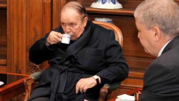 ما هي السيناريوهات المحتملة في الجزائر

