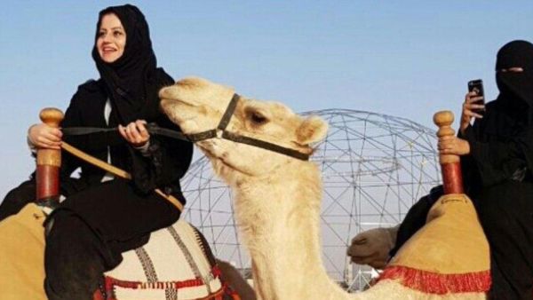  المشاريع تهدف كذلك إلى "تعزيز الجوانب الثقافية والفنية عبر إنشاء مجموعة من المتاحف والمسارح والمعارض وصالات السينما 