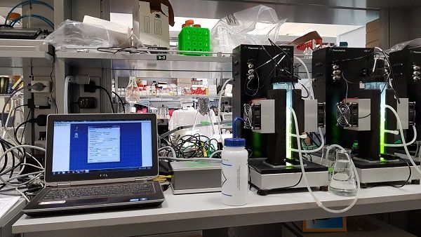 Algae cultivators in our lab