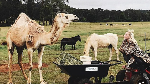 'Just a girl with her pet camel,' the young model captioned the image, which showed her staring lovingly at the animal. (Imogen_Anthony / Instagram)