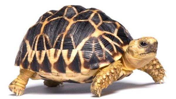 (Shutterstock/ File Photo)