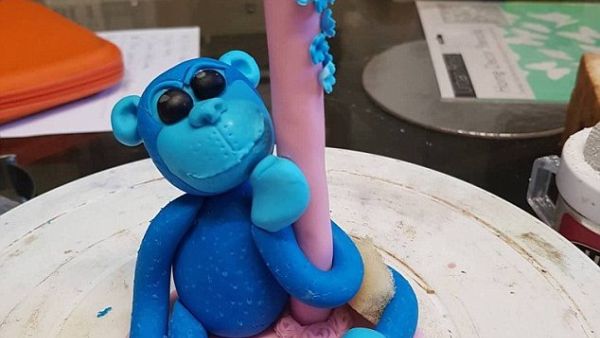 A distraught mum has shared a photo of the animal-themed birthday cake to social media, with the caption: 'Please be kind' (Facebook)